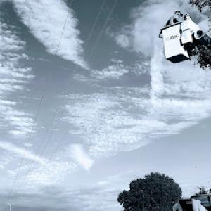 Jareds Tree Trimming & Removal