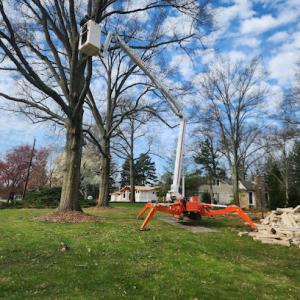 Spartek Tree Service