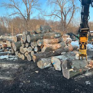 Lamanna Tree Service