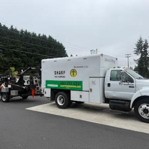 Sharp Tree Removal