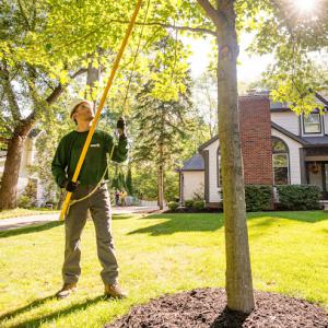 The Davey Tree Expert Company