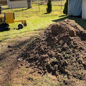 Ripley Stump Grinding