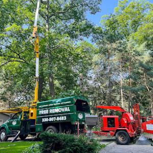 Garden Landscaping & Tree Service