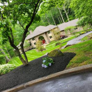 Rudy's Lawn & Tree Services