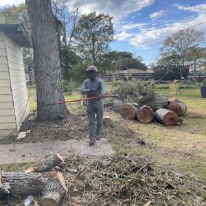 Good hands Tree service