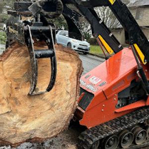 Green Sky Tree Services