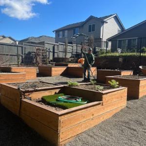 Alonso Landscape Services