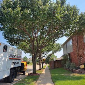 Ridgeline Tree Services