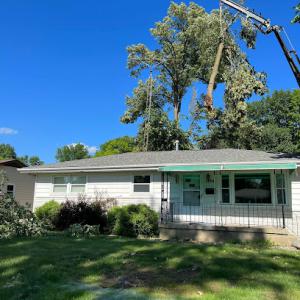 Hawthorne Tree Service