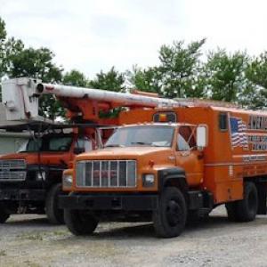 American Tree Doctor