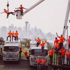 Seattle Tree Care