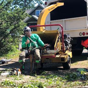 Farmer Tree Care