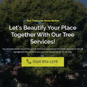 Encinal Tree Service