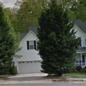 Belmont Tree & Landscaping