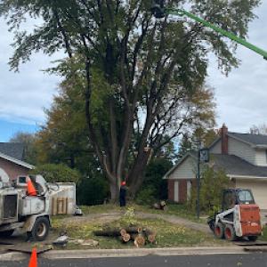 Smetters Tree Service