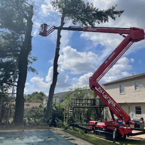 Palacios Tree Service