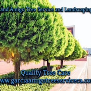 Garcia & Amigo Tree Service & Landscaping