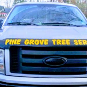 Pine Grove Tree Service