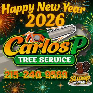 Carlos P Tree Service