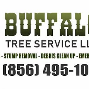 Buffalo Tree Sevice