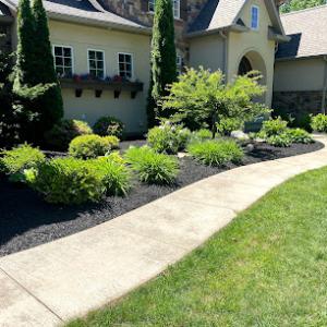 Emma's Landscape & Maintenance