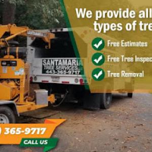 Santamaria Tree Removal