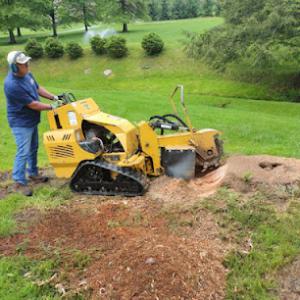 Stumpin Off Services