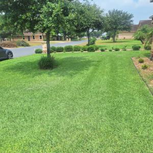 Waldo’s Lawn Care Service