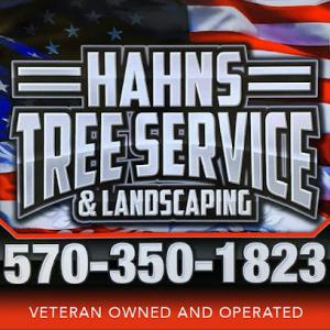 Hahn's Tree Service & Landscaping