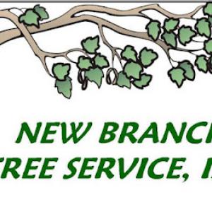 New Branch Tree Service