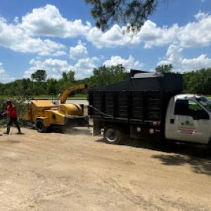 Innovative Tree & Landscape