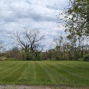 Thomas & Son Landscaping