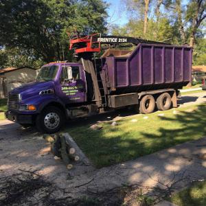 Tree Service of Troy