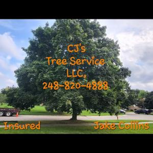 CJ'S Tree Service