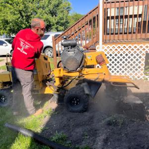 Leicht Services Stump Grinding