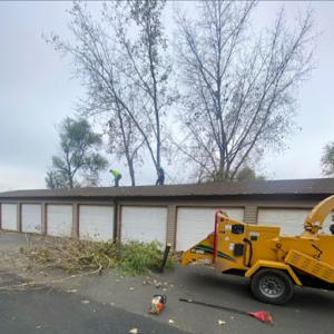 New look lawn & tree full service