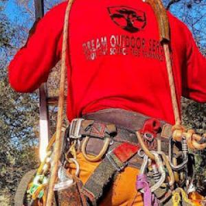 Dream Tree Services