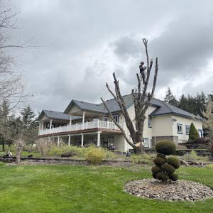 Corvallis Premier Tree Care