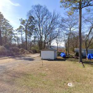 Douglas Stump Removal