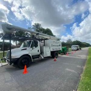 Lavinscape Trees & Landscaping