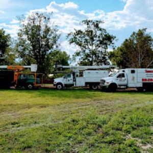 Monkey's Tree Services