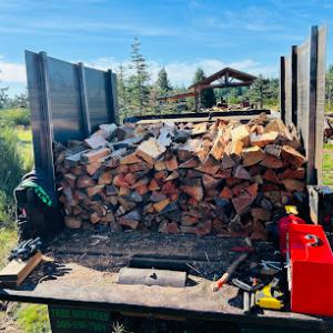 Roots Tree & Property Services