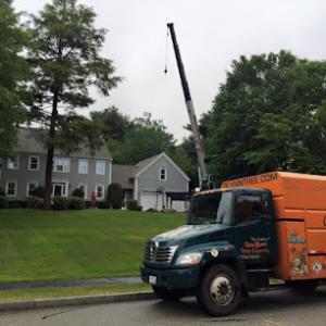 SavATree - Tree Care & Lawn Service