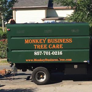 Monkey Business Tree Care