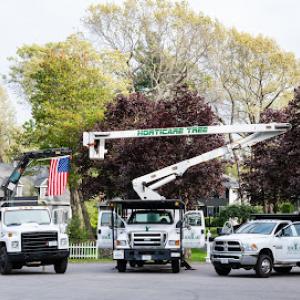 Horticare Tree Service