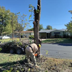 Quality Care Landscape & Tree Service