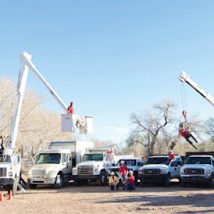 Desert Gardens Outdoor Services