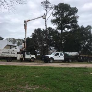 Affordable Tree Service
