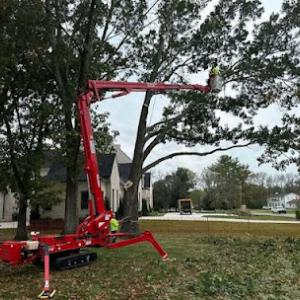 Franklin Tree Service