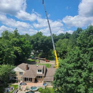 Northeast Tree Services